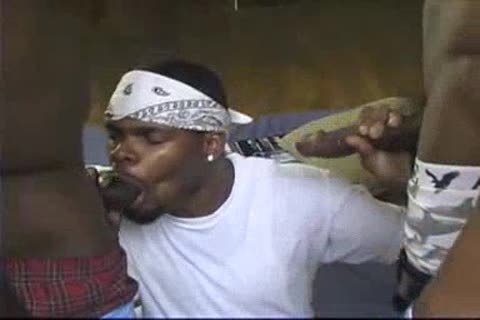 tasty Jr 