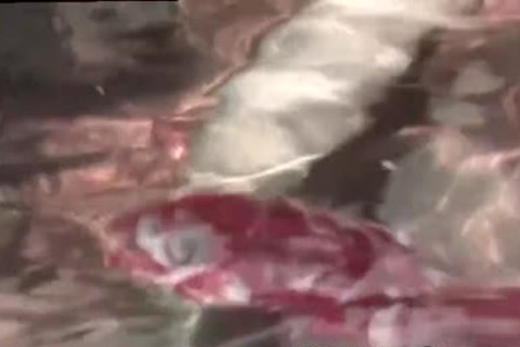 he's A Great Lil' knob