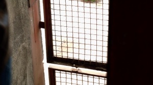 Captain America : A homo XXX Parody - American Hump