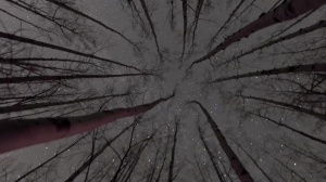 Stranded - Damien Stone and Jack Hunter 69 Hook up