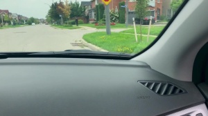 Pranksters - Dante Colle and Kit Cohen butthole Hook up