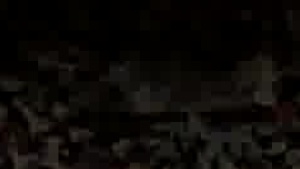 travel Of Duty - Love