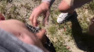 males In Public 5 – Hike - butt sex