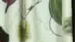 Sucked Down - eighteen Hook up