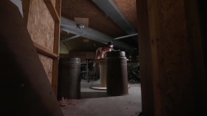 pound Or Flight - Collin craving, Bo Sinn anal screw