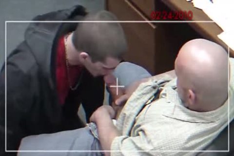 Bear loves slamming hard in HD