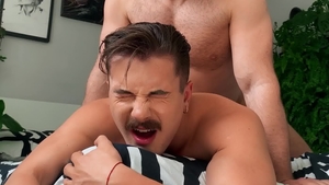 Drill My Hole - European Austin Sugar doggy