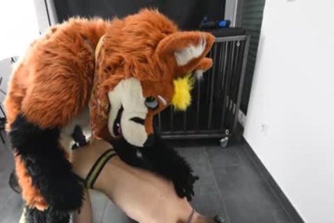 Puppy gets pounded By Fursuit With  dildo