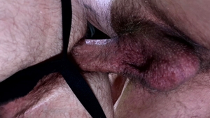 Extra Big Dicks: Alpha Studio Group's Secret Rendezvous