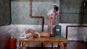 Master's Meticulous Misrule