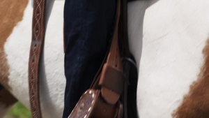 Men: Farmhouse Frolics