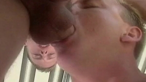 Falcon Icons: The 1990's: Buds' Blooming Blossoms