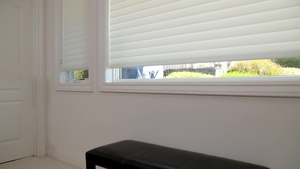 Next Door Buddies: Curtains Close on Carnal Cravings