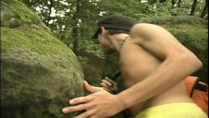 A Cumshot for Every Occasion