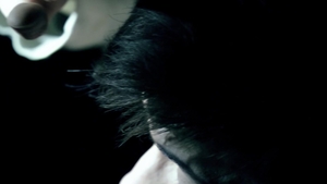 Unexpected Encounter Delight