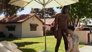 Extra Big Dicks: Boner By The Poolside
