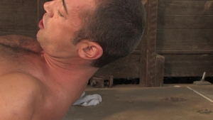 Falcon Studios: Haystack Hijinks with Swarthy Stallions