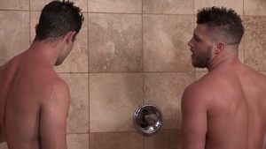 Topping or Bottoming? Tanner's Preferences